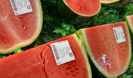 今日份欢乐吃瓜,欢乐吃瓜，笑料连连