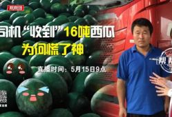 今日吃瓜播报最新,娱乐圈最新热点事件大盘点