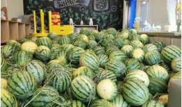 今日吃瓜5,揭秘娱乐圈最新热点事件