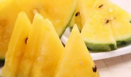 今日吃瓜黑瓜吃料图片,揭秘吃瓜黑瓜背后的神秘故事