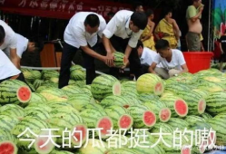 今日吃瓜155fun黑料入口,真相与争议并存