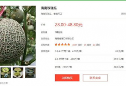 今日吃大瓜小说,揭秘小说中的惊天秘密与情感纠葛