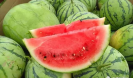 热门大瓜今日吃瓜校园,揭秘热门大瓜，一起吃瓜涨知识