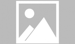 今日头条吃瓜神器下载,下载体验，轻松掌握热门资讯！